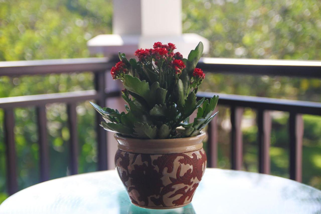 Luxury Purama Villas Da Nang- Free Pick Up Airport エクステリア 写真